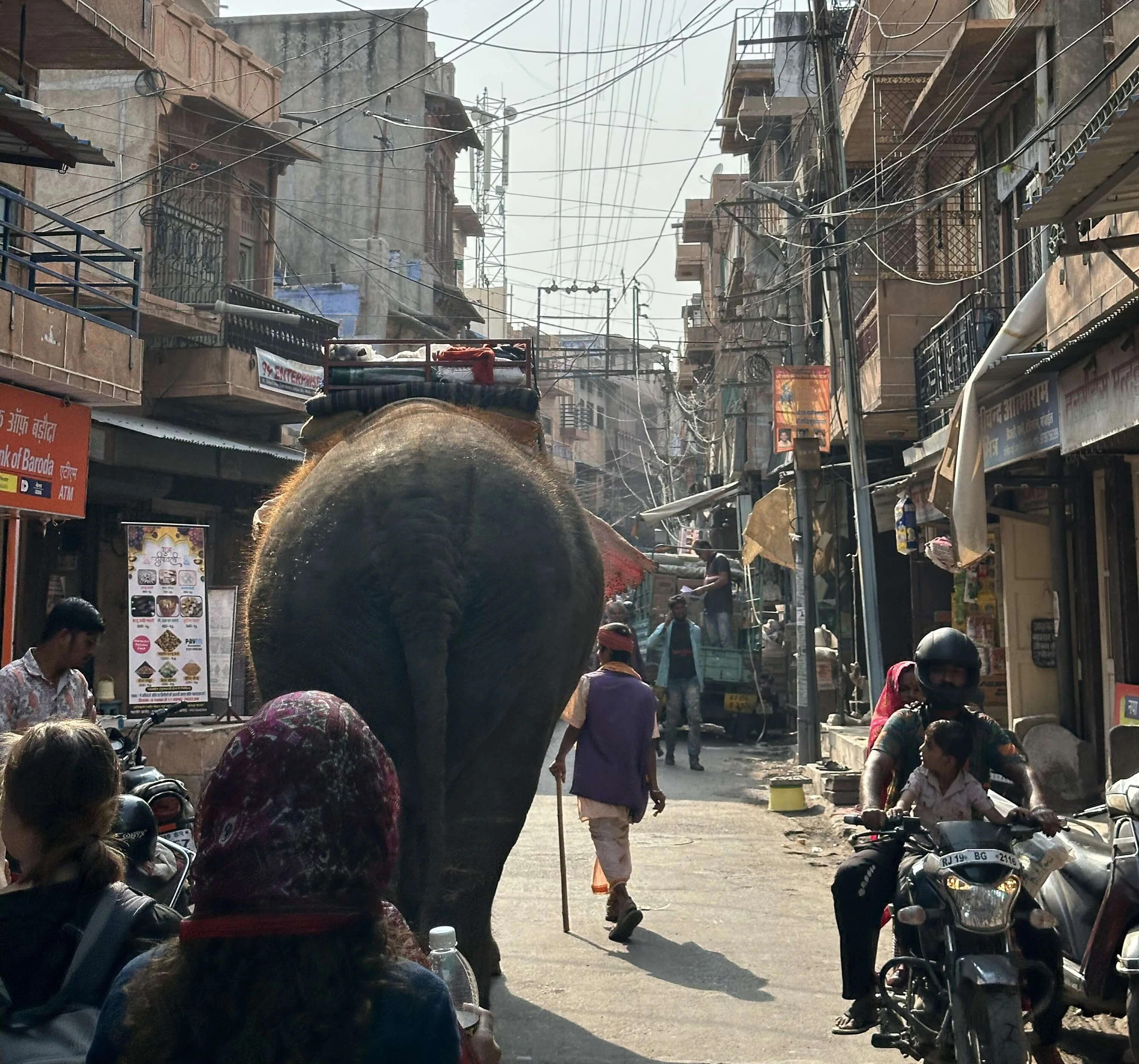 Market in Jodhpur