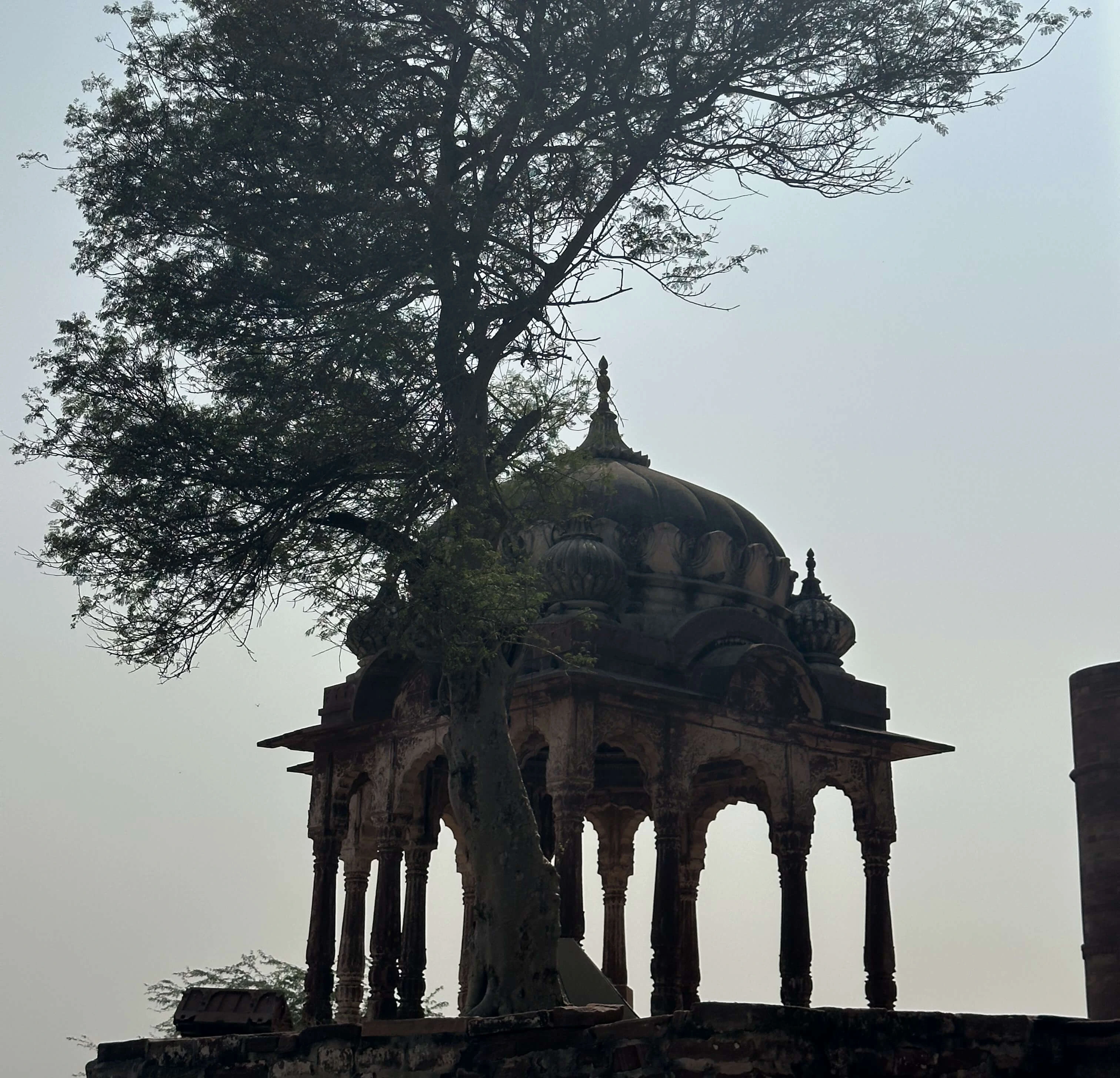 Stepwell Toorji Ka Jhalra